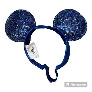 Blue Mickey Ears